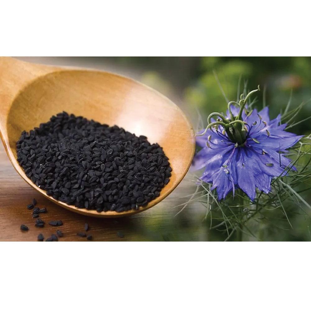 500ml Pure Black Seed Oil - 100% Ethiopian Nigella Sativa Cumin Cold